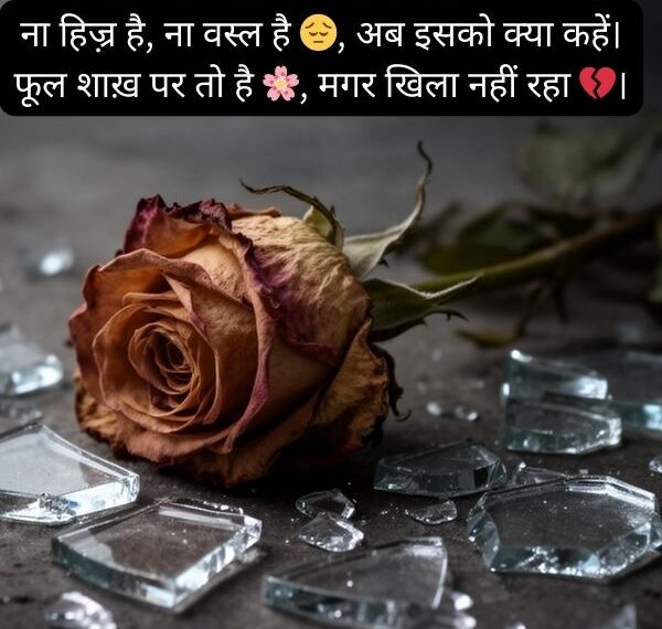 Heartbroken Shayari Hindi Emoji