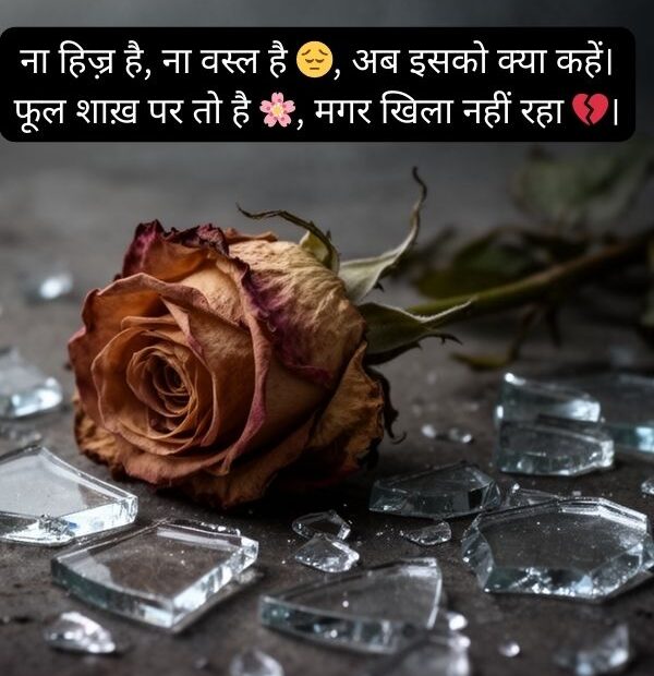 Heartbroken Shayari Hindi Emoji