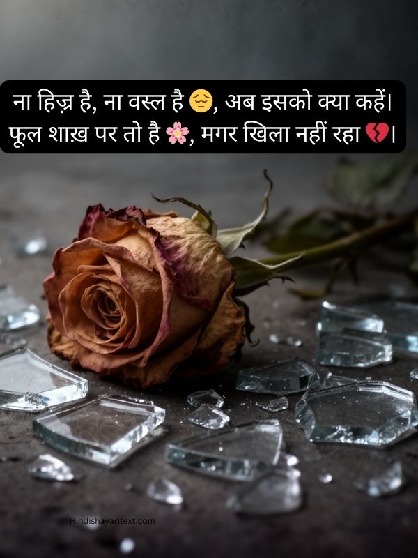Heartbroken Shayari Hindi Emoji