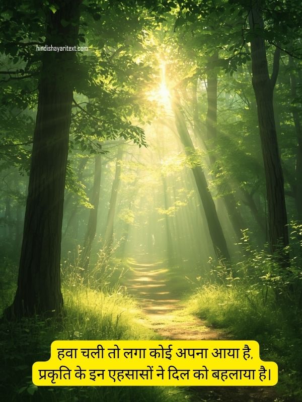 lovely nature love shayari in Hindi with romantic sunset scenery and emotional Hindi quotes about love and nature